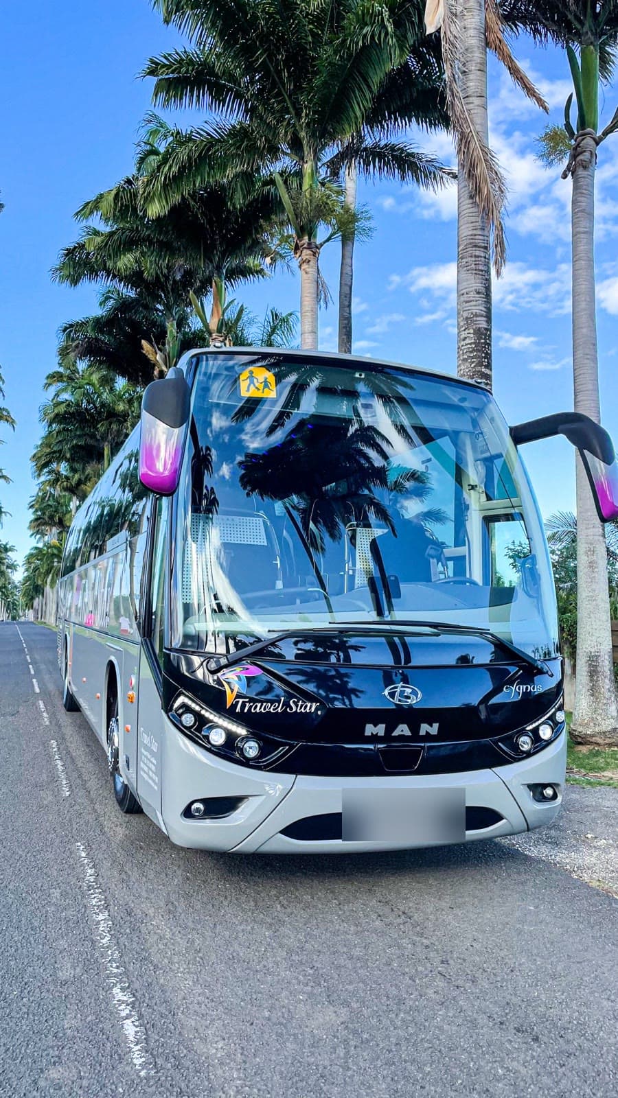 Autocar MAN grand tourisme de la flotte Travel Star, sur une allée de palmiers royaux en Guadeloupe.