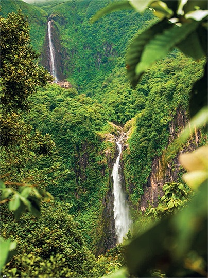 Deuxième chute du Carbet au cœur de la forêt tropicale de Basse-Terre